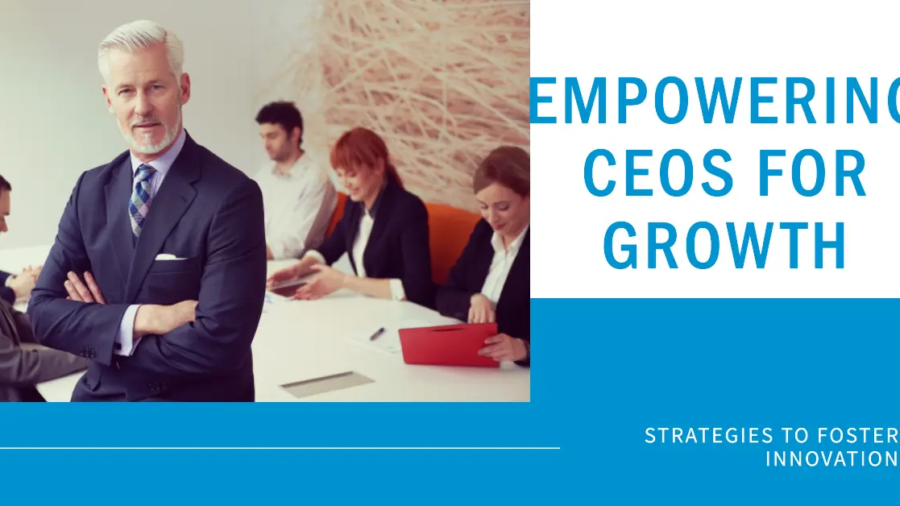 Two illustrated figures, one with darker skin and the other with lighter skin, sit at a table looking at laptops. A chart with graphs is on the wall behind them. The text "STRATEGIES TO FOSTER INNOVATION EMPOWERING CEOS FOR GROWTH" is on the right side of the image.